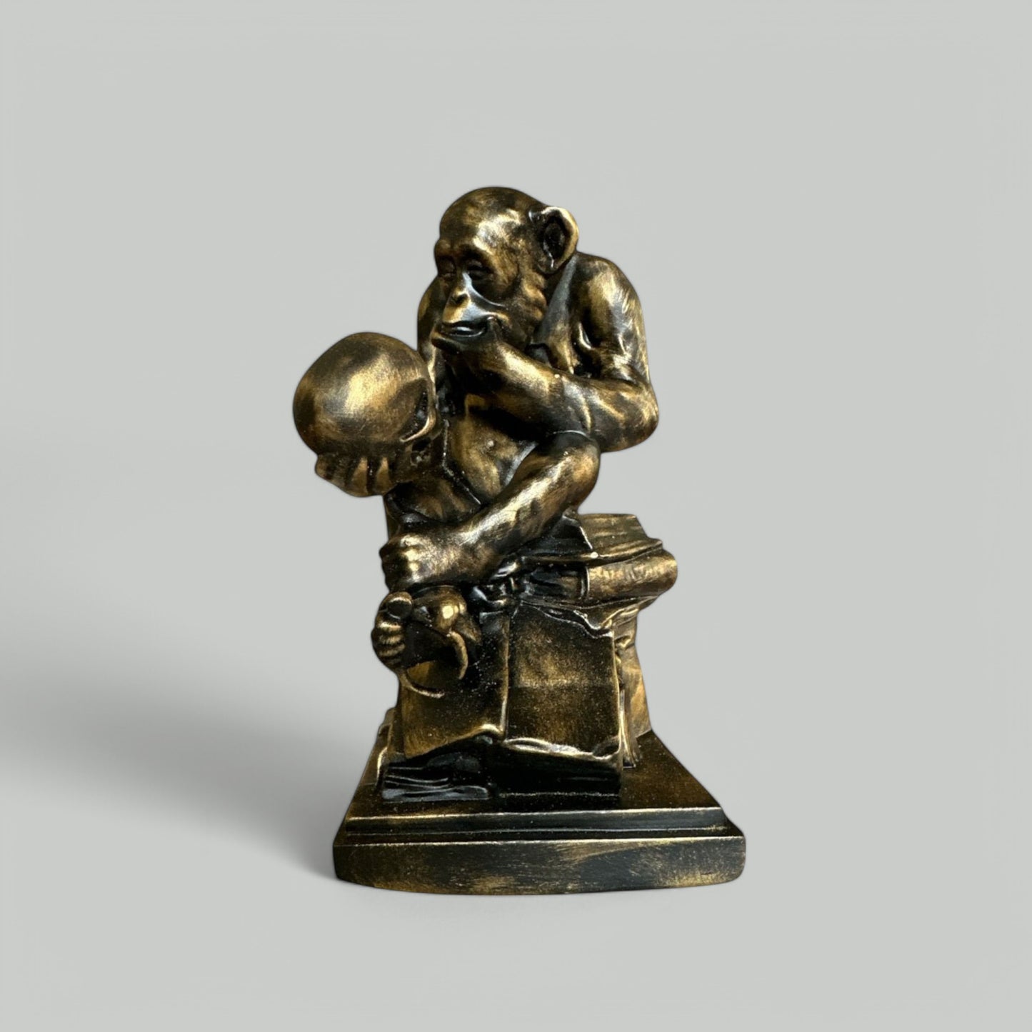Darwin Monkey